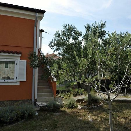 Apartman Branka Kornić Εξωτερικό φωτογραφία