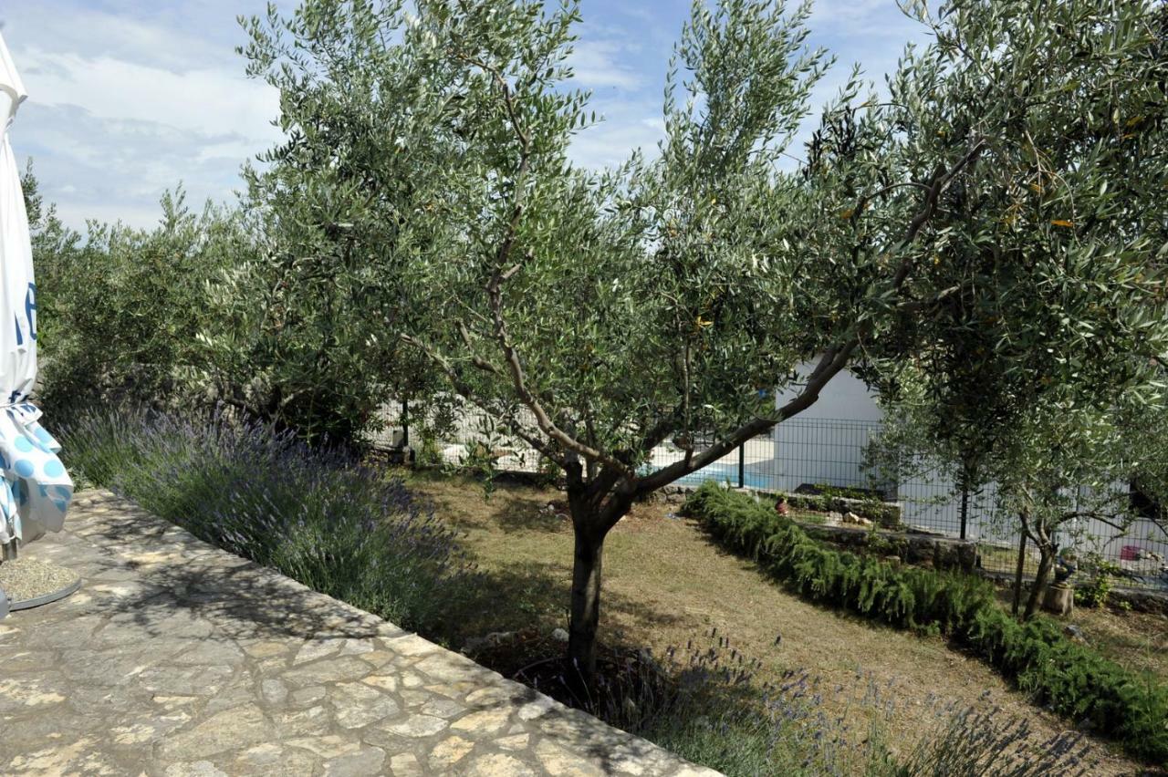 Apartman Branka Kornić Εξωτερικό φωτογραφία